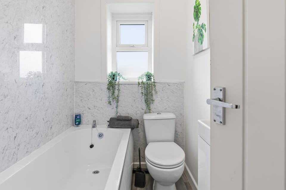 Toilet, Bathroom, Bath