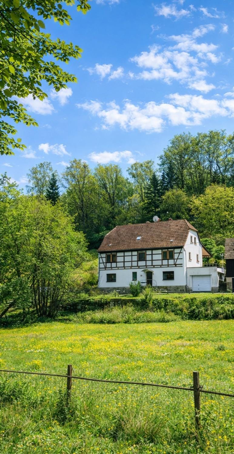 Ferienhaus am Mühlgrundbach Apartment in Bad Schandau