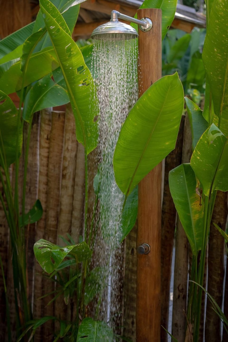 Natural landscape, Garden