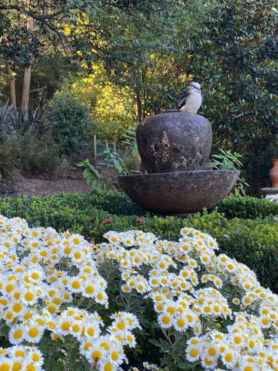 Sage Manor, Sleeps 10, 6 Bedrooms, Elegant House in Bowral