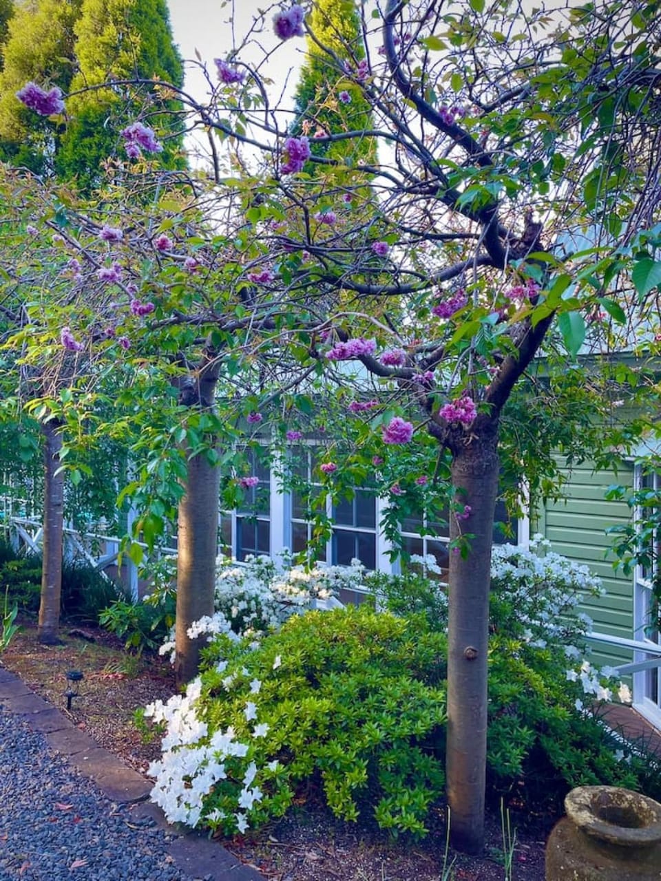 Sage Manor, Sleeps 10, 6 Bedrooms, Elegant House in Bowral