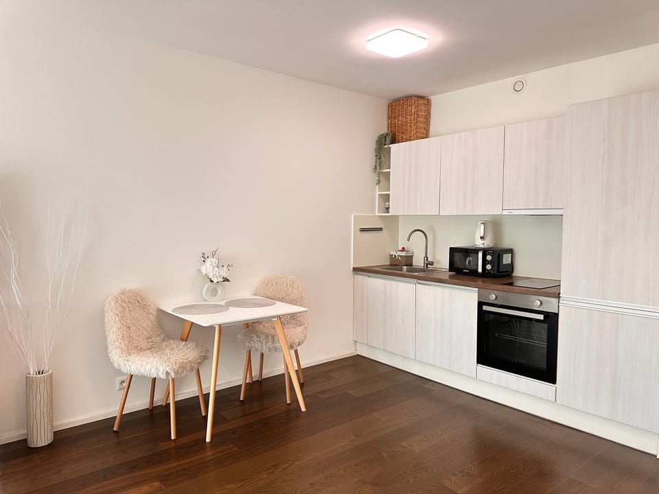 Evas Cozy Studio Prague Apartment in Prague
