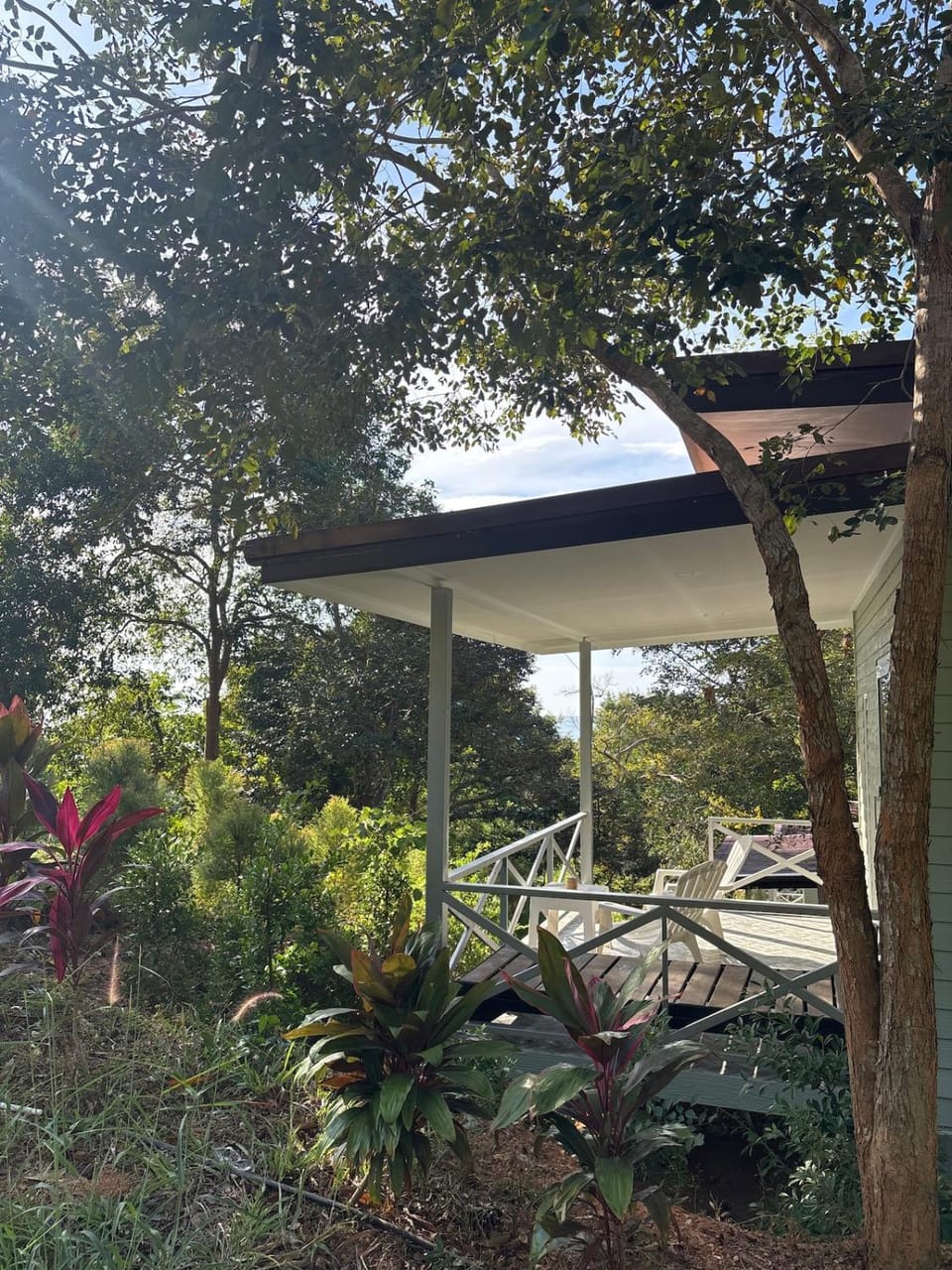Patio, Day, Garden, Garden view