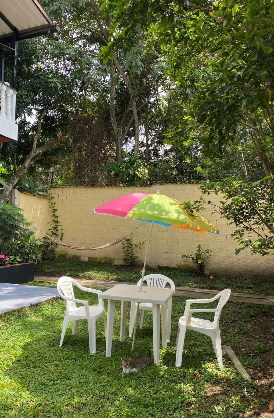 Patio