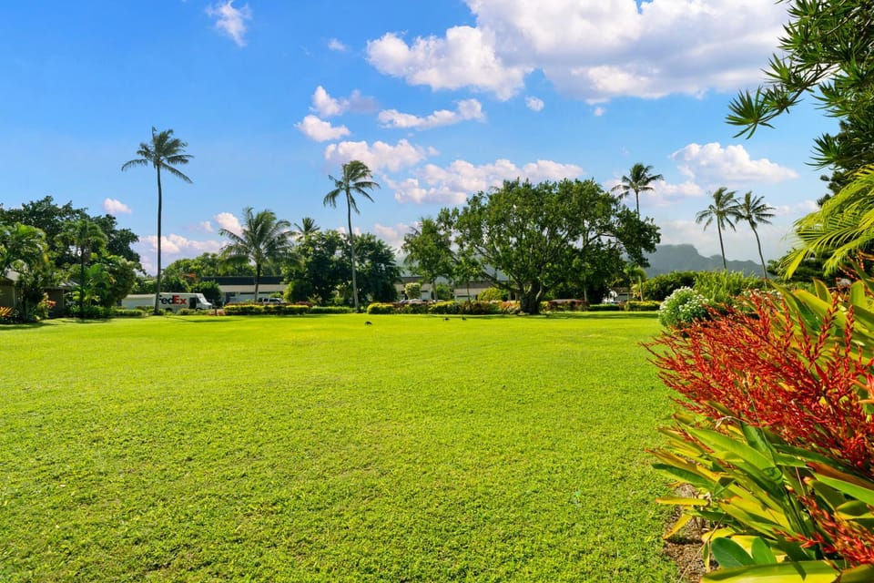 (PKK9) Beautiful 2Br Condo- Mountain Views, Pool, Hot Tub Apartment in Princeville