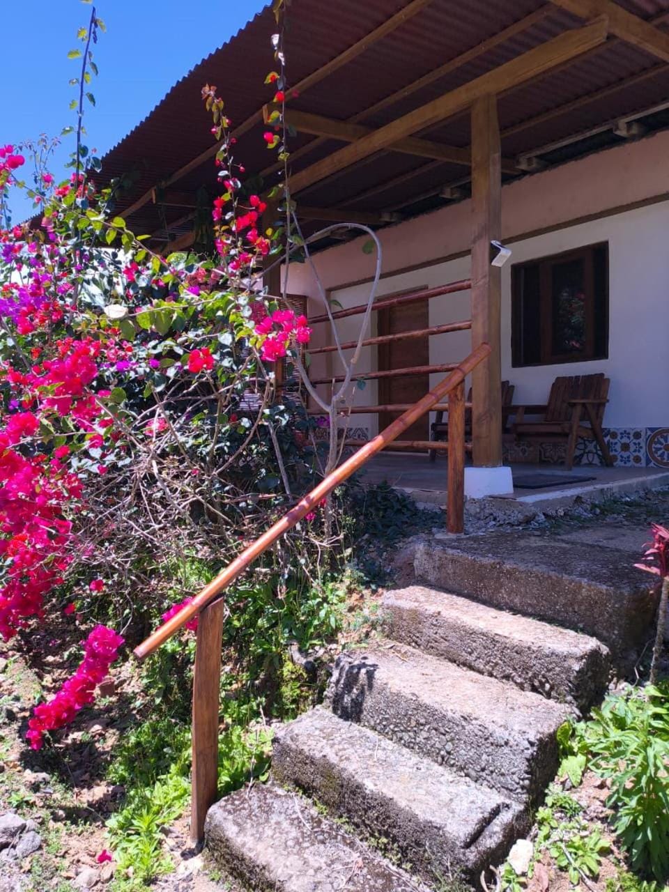 Facade/entrance, Day, Garden