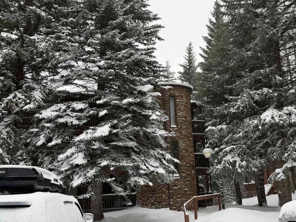 East Vail Getaway Steps from Ski Shuttle & Creek House in Vail