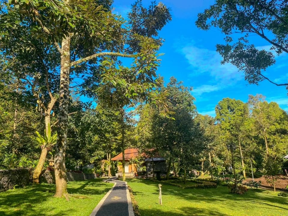 Garden, Garden view