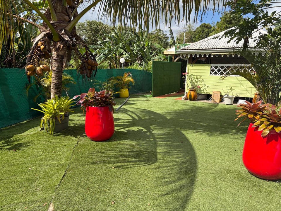 Spring, Day, Garden, Garden view