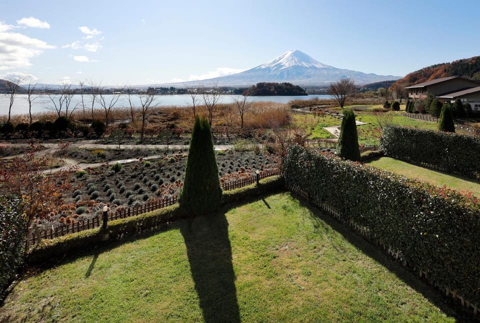 Natural landscape, Garden, Garden, Garden view, Mountain view