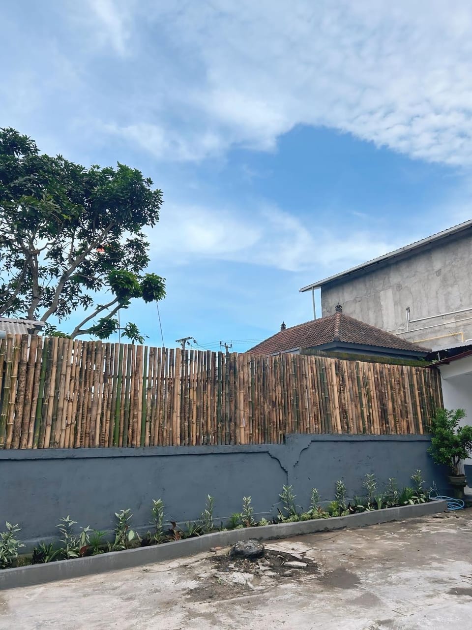 Tree Mango Homestay Room 2 Vacation rental in Bali