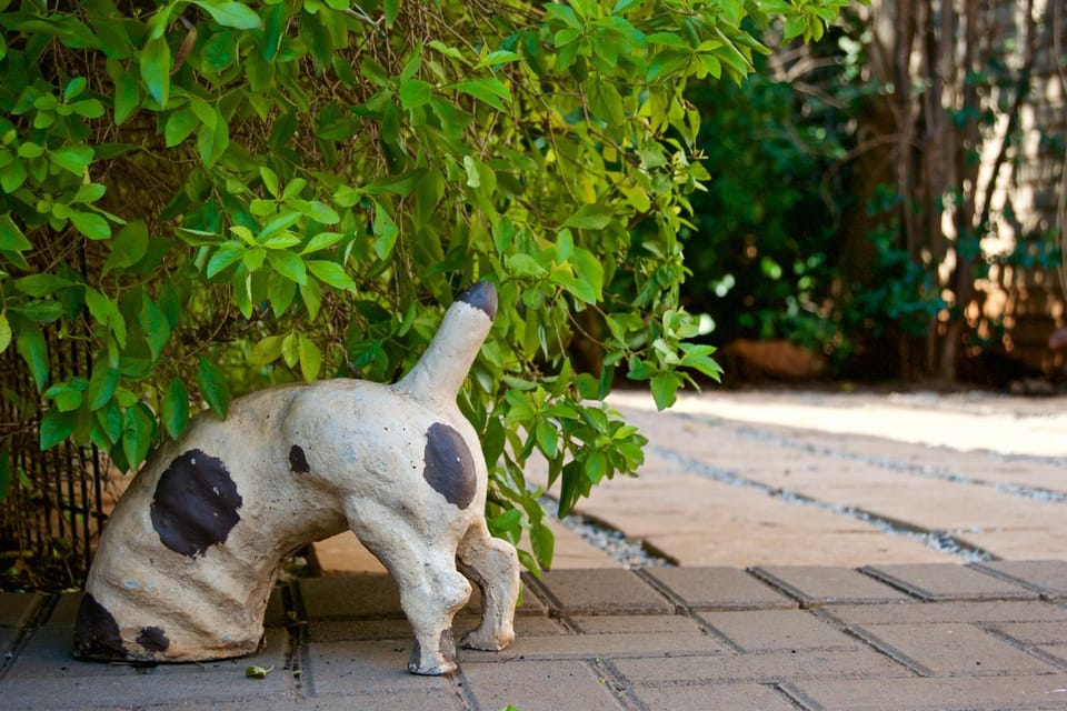 Garden view
