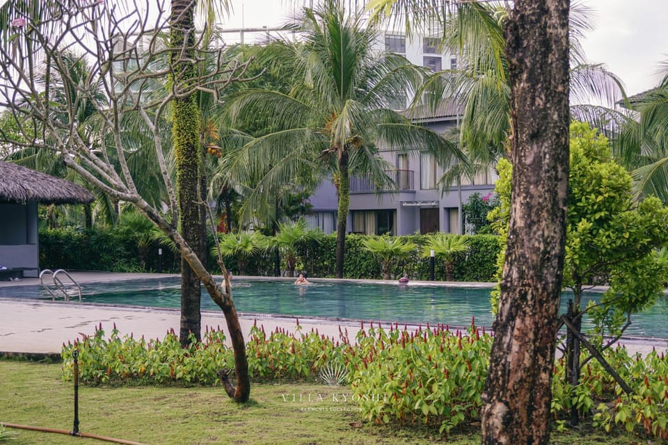 Swimming pool, Swimming pool