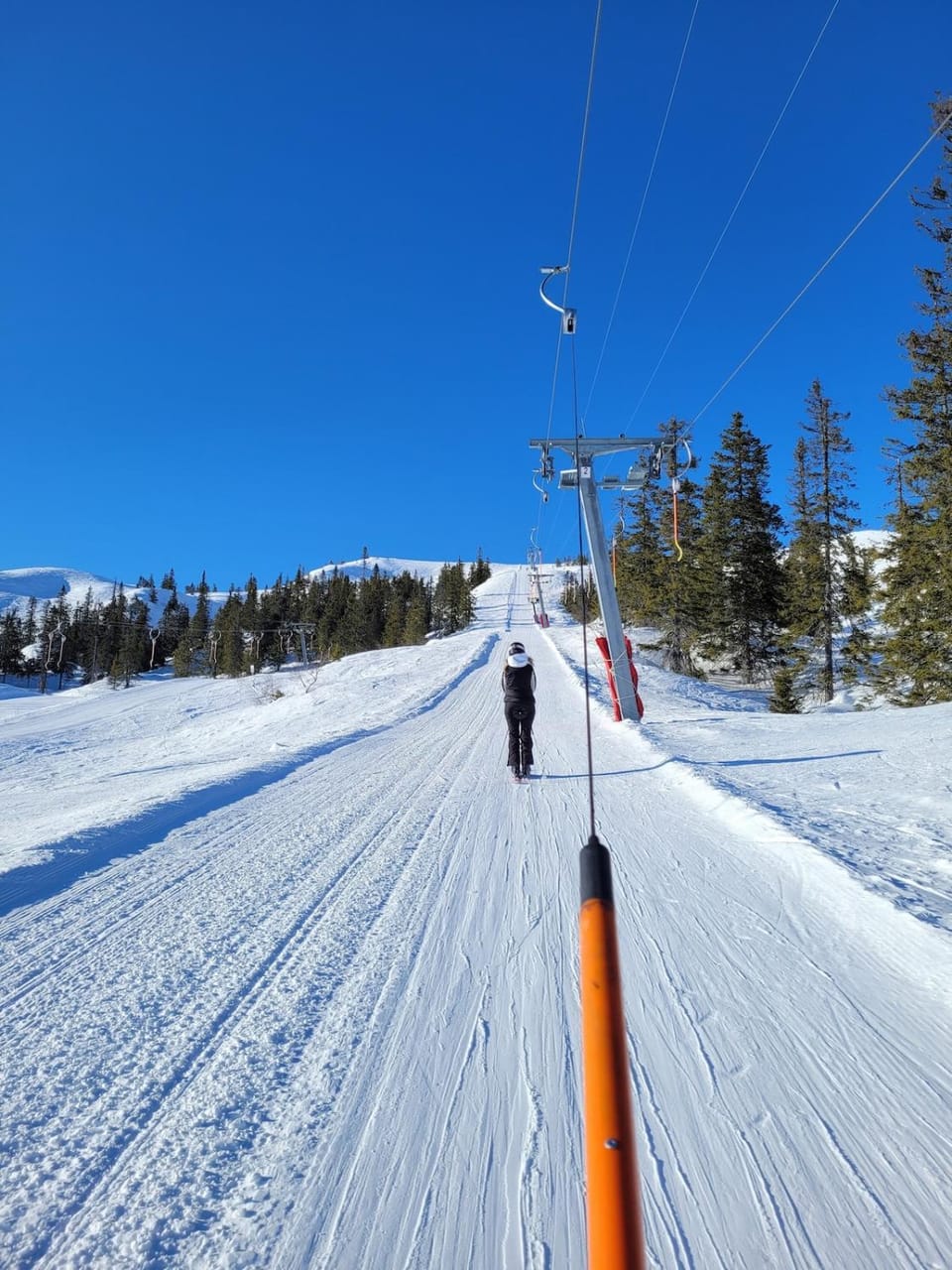 Nearby landmark, Skiing