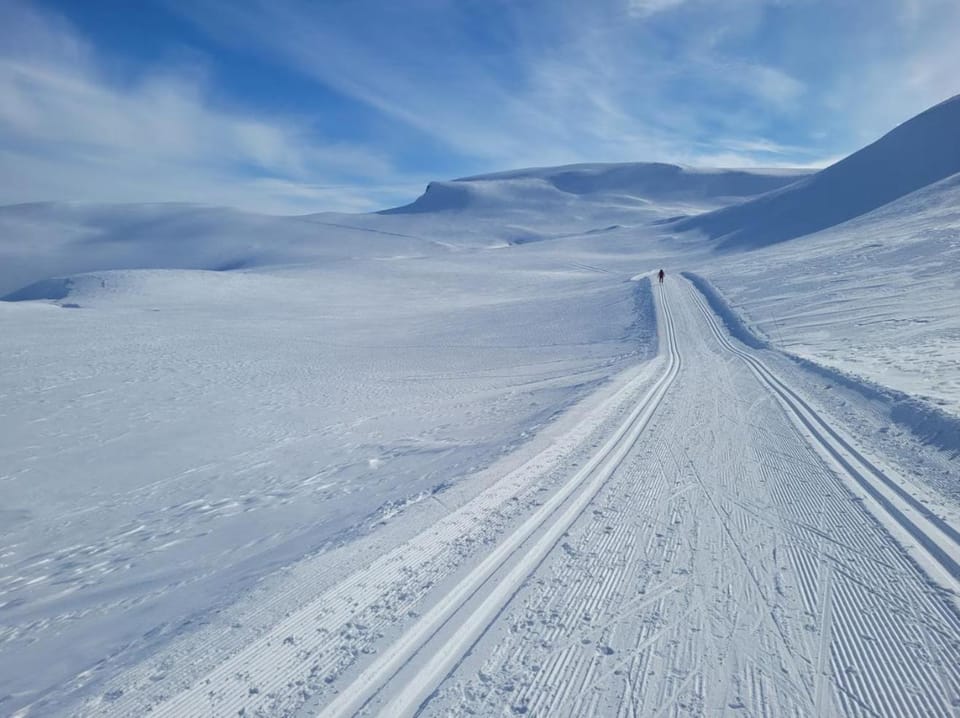 Natural landscape, Winter