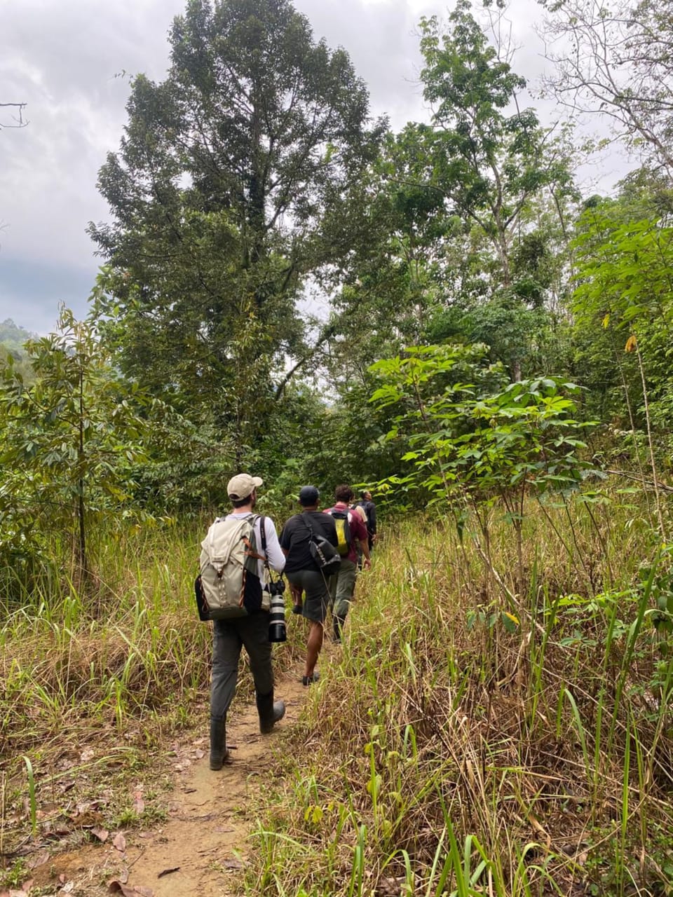 Batu Katak Jungle River & Trekking Inn in Indonesia