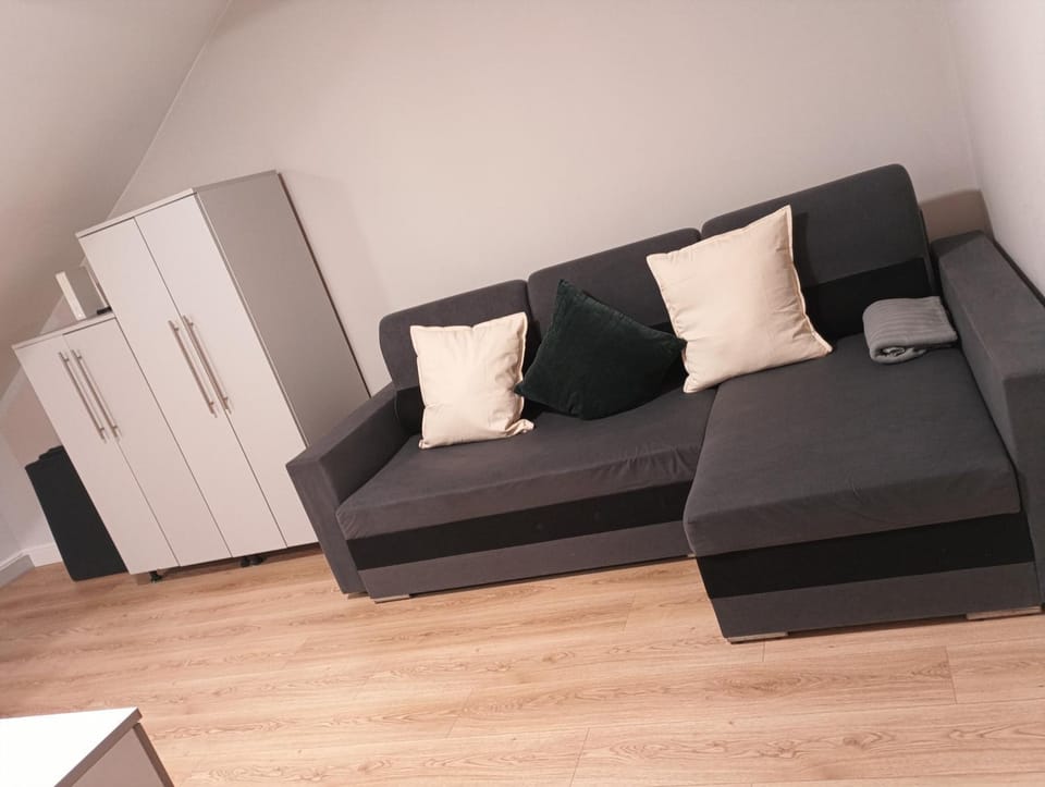 Oliwa Park Studio Apartment in Gdansk