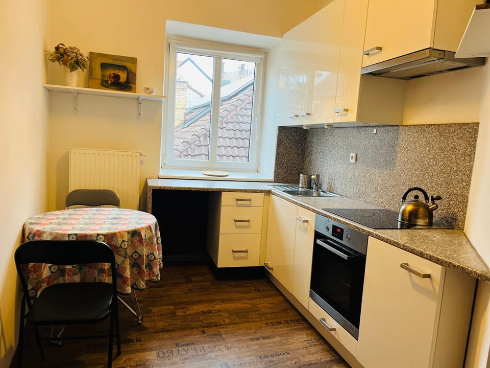 Krásný byt v srdci historického Tábora Apartment in South Bohemian Region