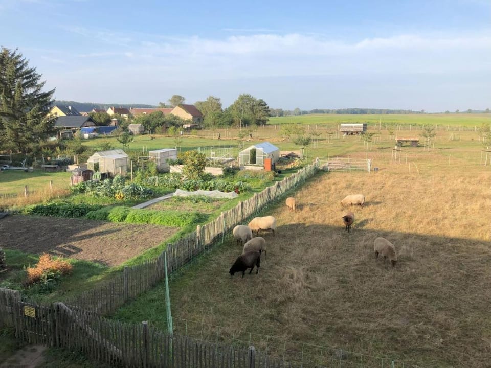 Neighbourhood