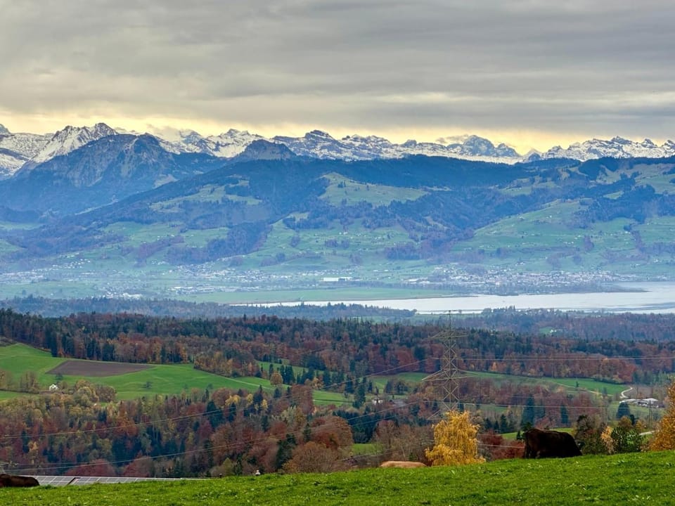 View (from property/room)