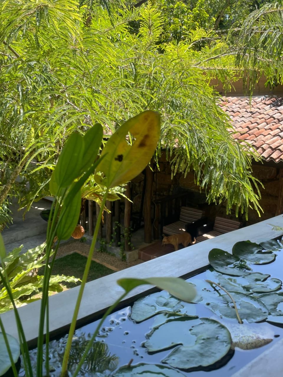 The Home Galle - Unique Homestay Vacation rental in Galle