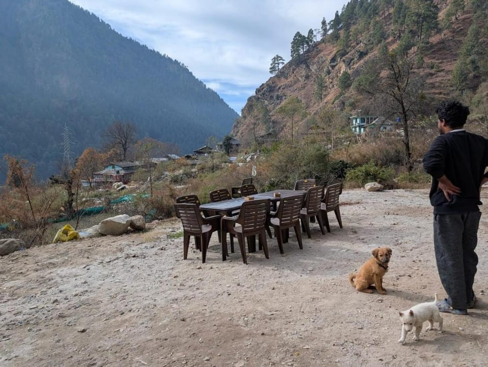 Natural landscape, Pets, Mountain view
