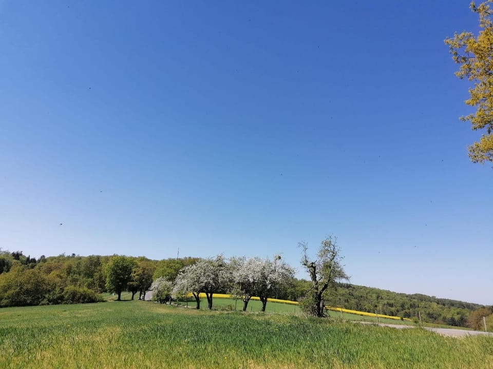 Natural landscape