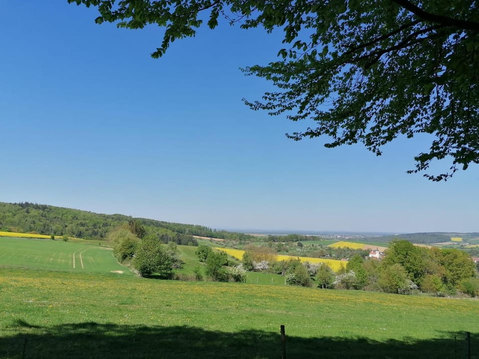 Natural landscape