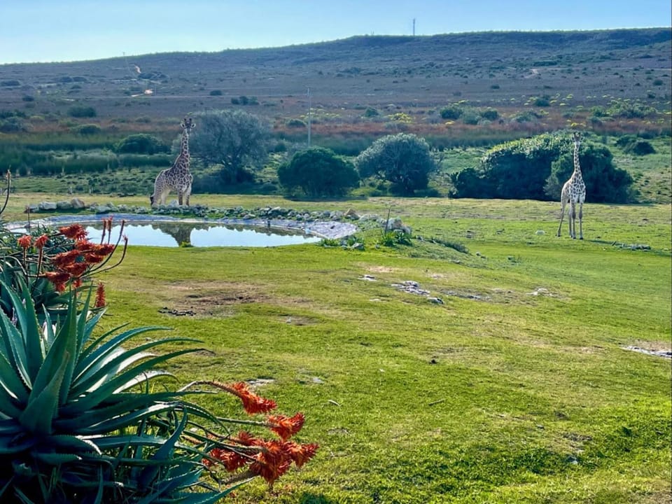 Natural landscape