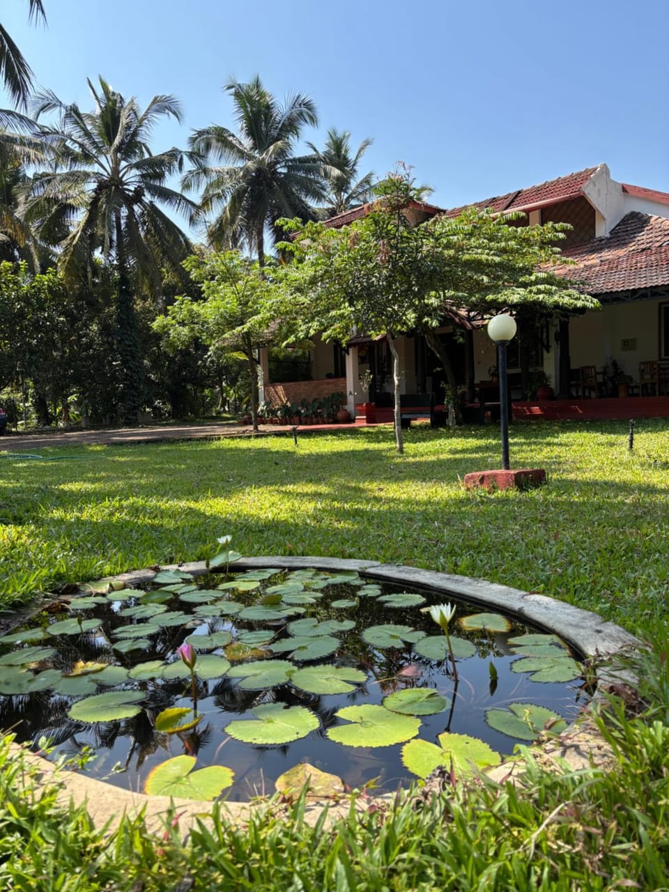 Natural landscape, Garden view