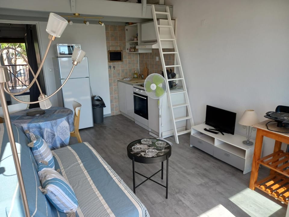 La Baleine rose, T2 vue dégagée sur le Centre Port Apartment in Agde