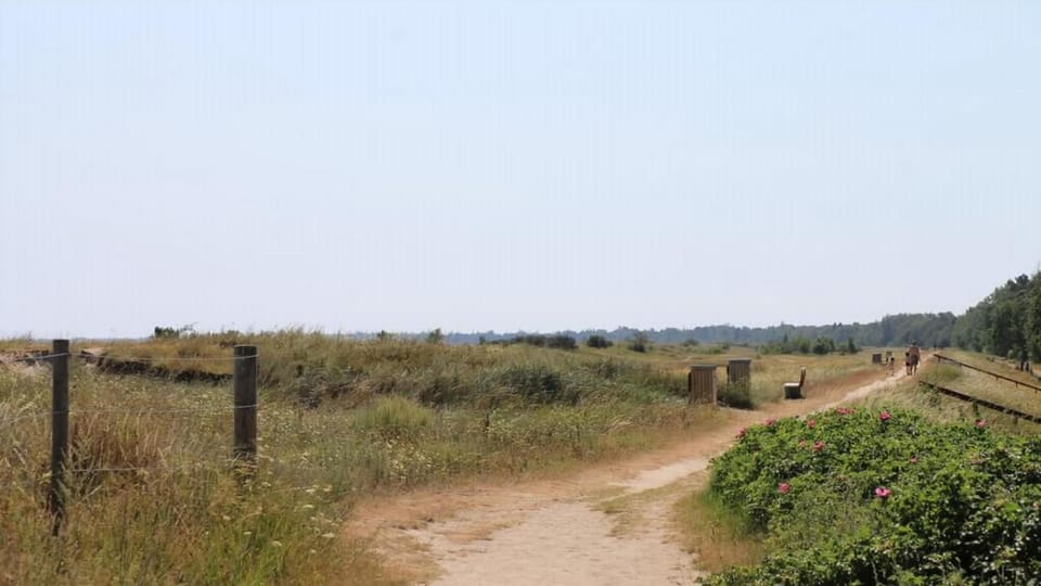 Area and facilities