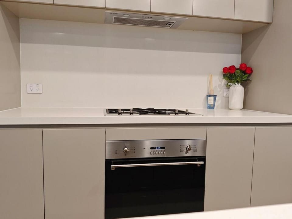 Above the Park Sydney Harbour - 3 Bedrooms Free Parking No Parties Apartment in Sydney