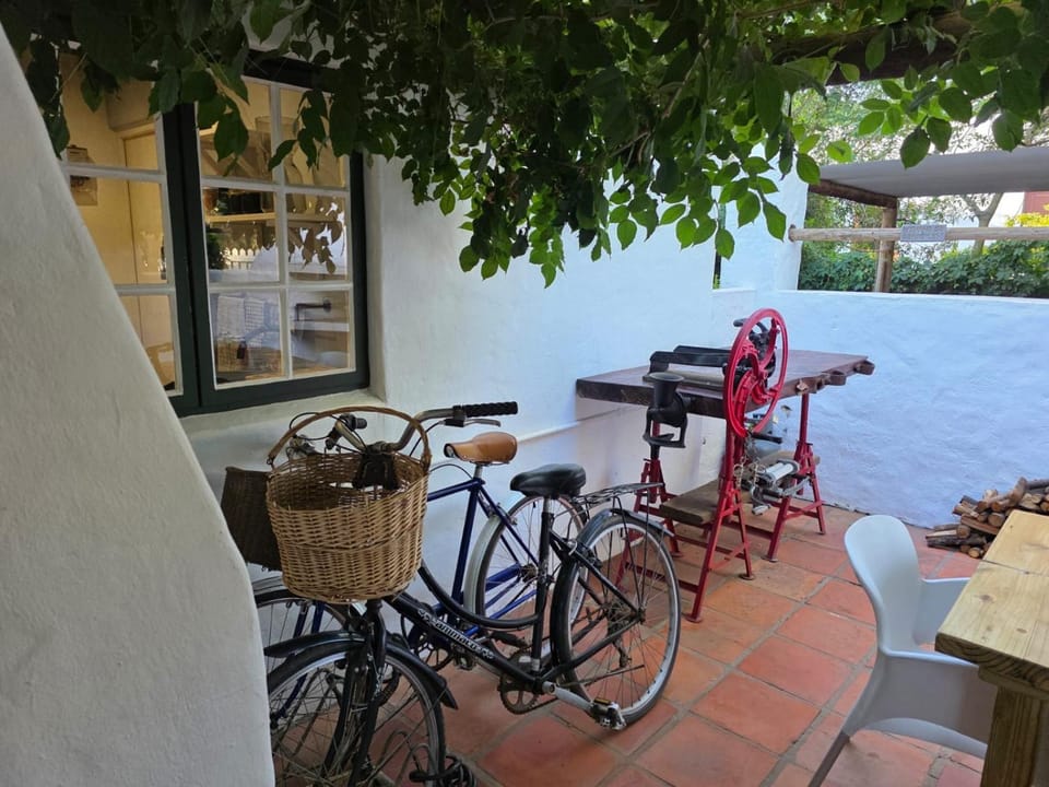 Patio, Cycling, Inner courtyard view