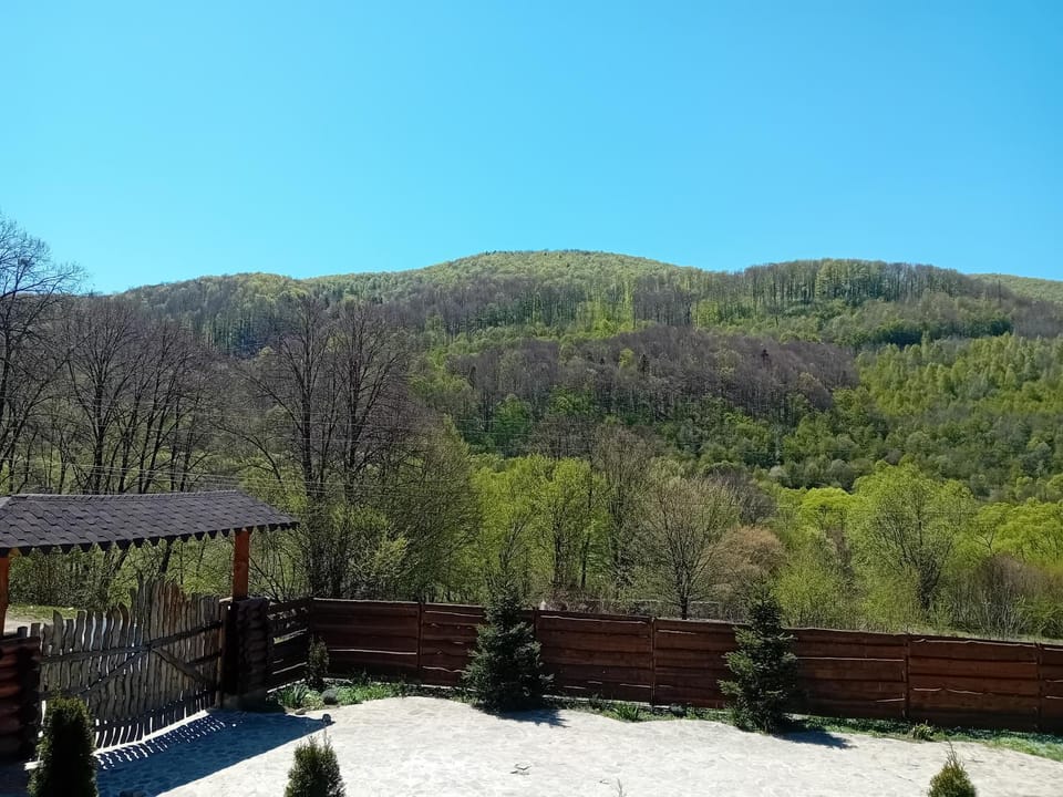 Cottages Shepit Lisu Apartment in Ukraine