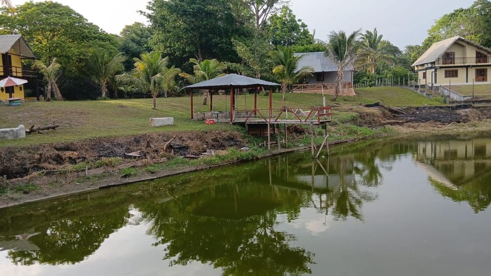 Fishing, Garden, Lake view
