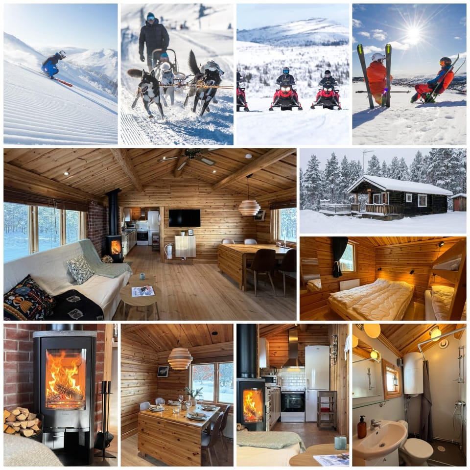 Winter, Skiing, Sports