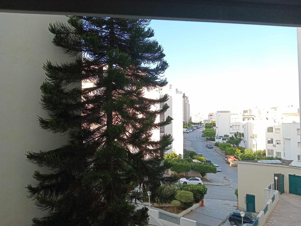 Andalous Ennasr2 Apartment in Tunis