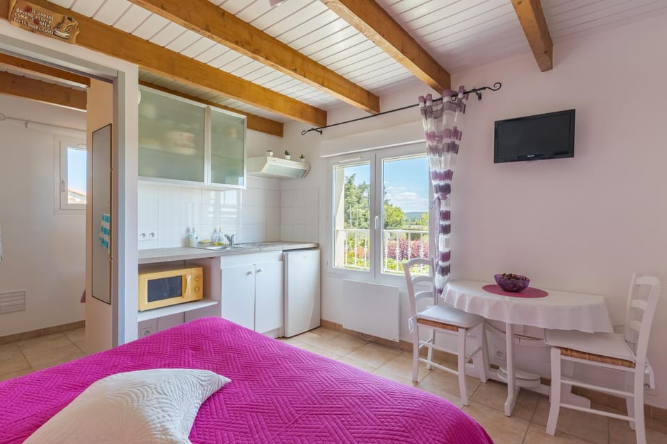 Chambre du Raisin Bed and Breakfast in Aix-en-Provence