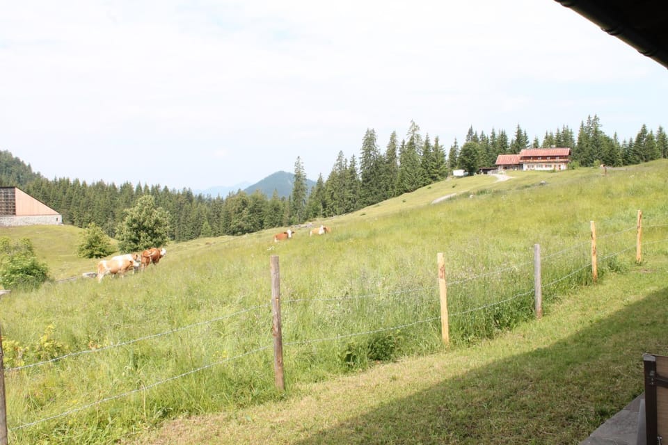 Natural landscape