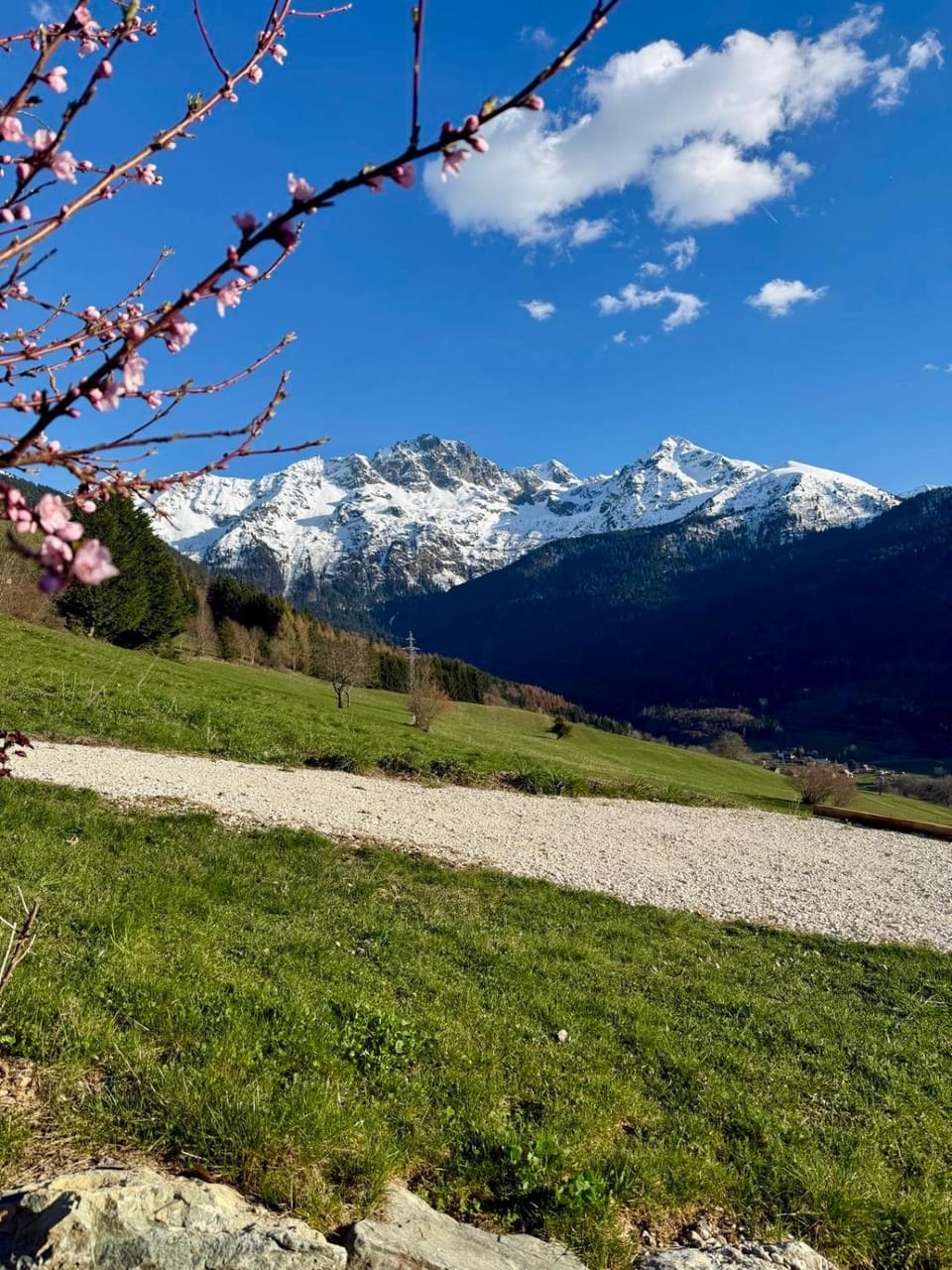 Spring, Mountain view