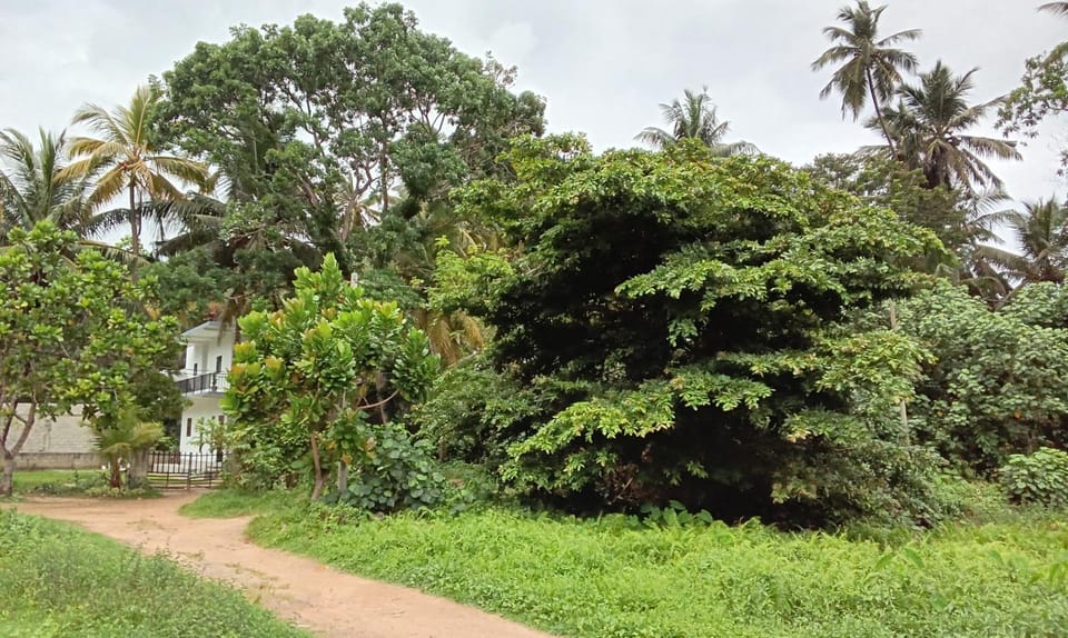 Chanaka Villa - Unawatuna Apartment in Tangalle