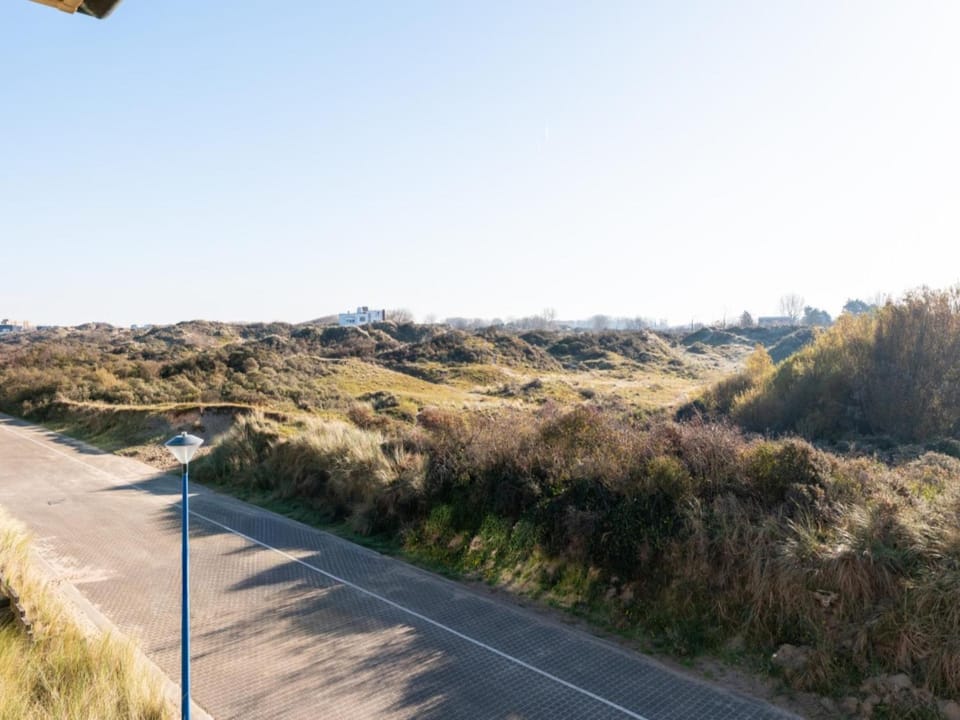 Summer, View (from property/room)