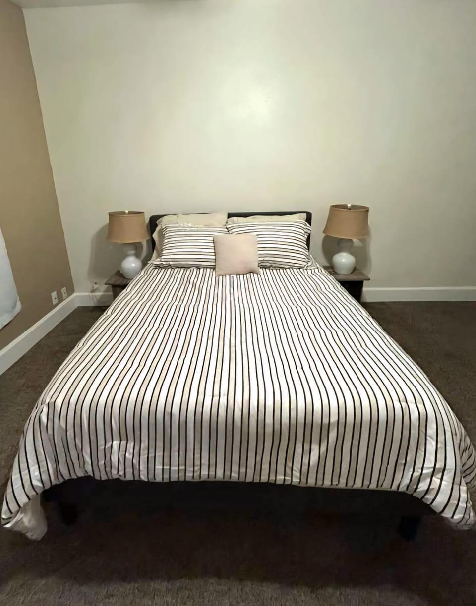 Free Parking Steps To Mass Ave & Art District Apartment in Indianapolis