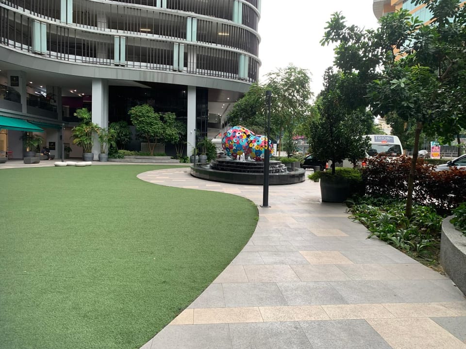 Garden view