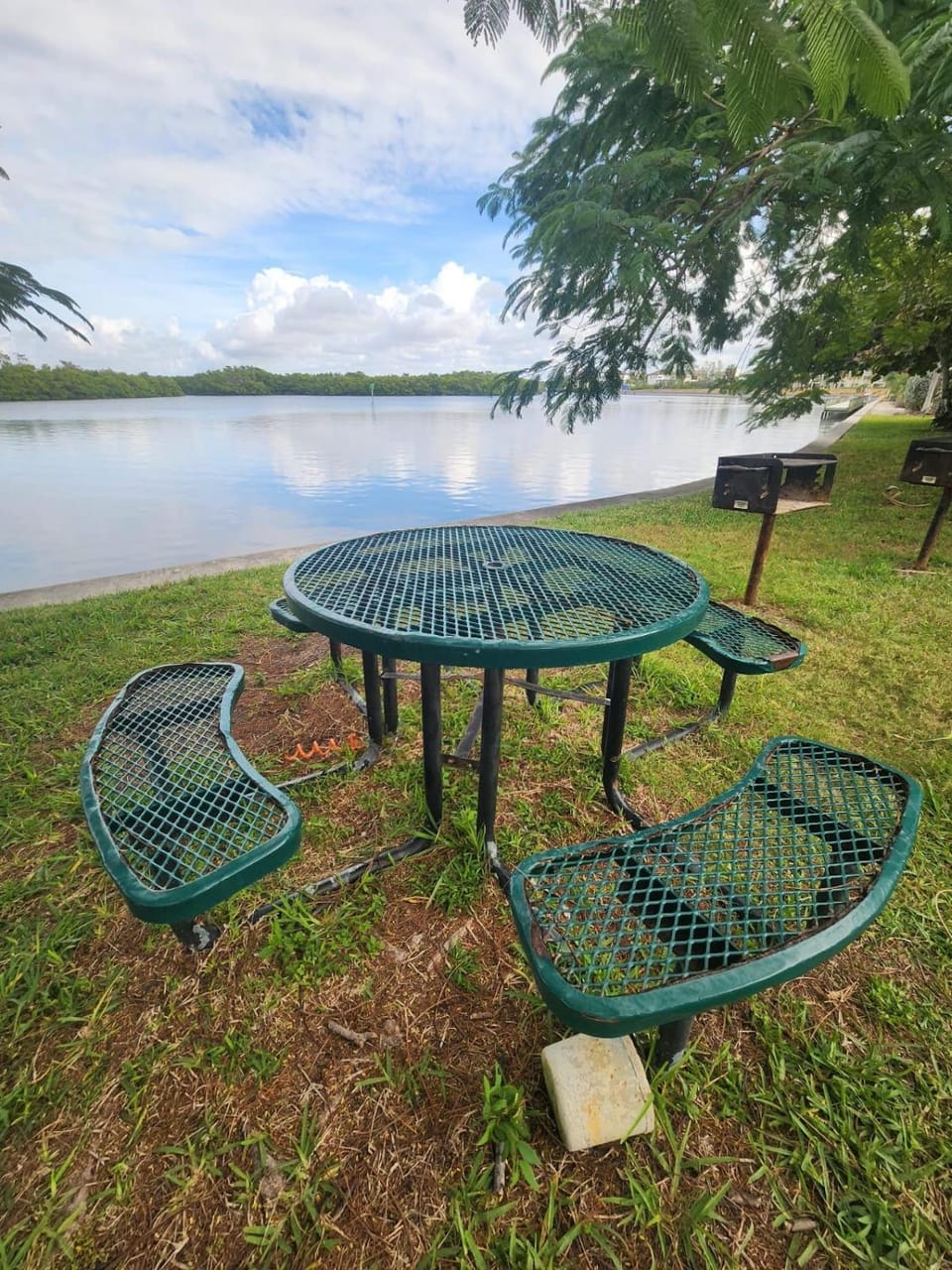 Harbor Haven Escape Apartment in Ruskin
