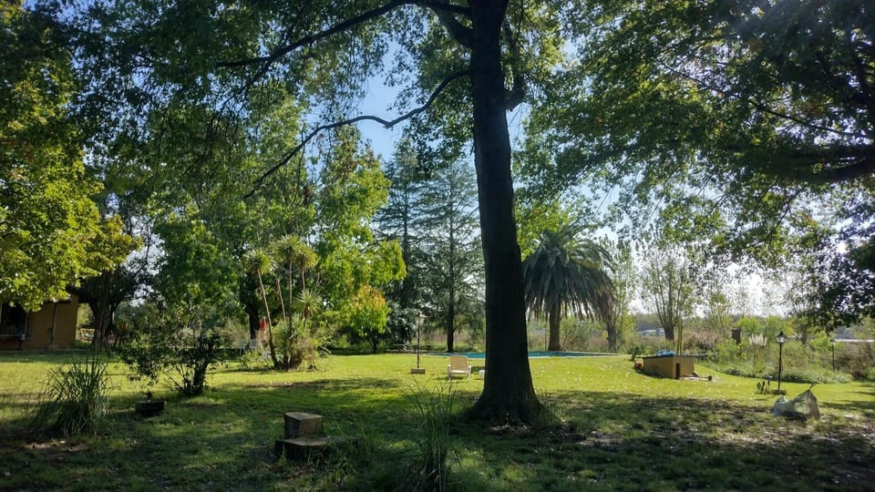 Spring, Day, Natural landscape, Garden, Garden view