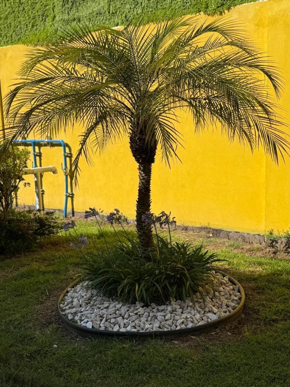 Hotel-Motel Calens Motel in Hidalgo, Mexico