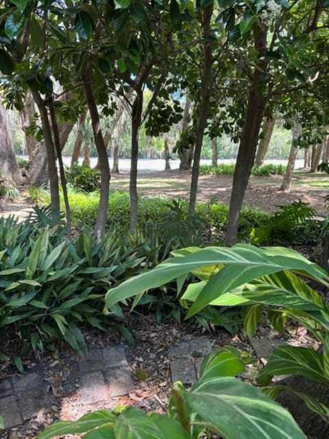 Fairway Oaks 3323 House in Amelia Island
