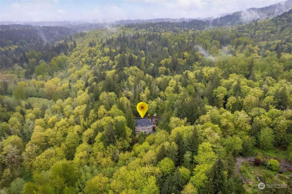 Cascadia Family Mansion, Hot Tub, Game Room, Gym! House in Issaquah